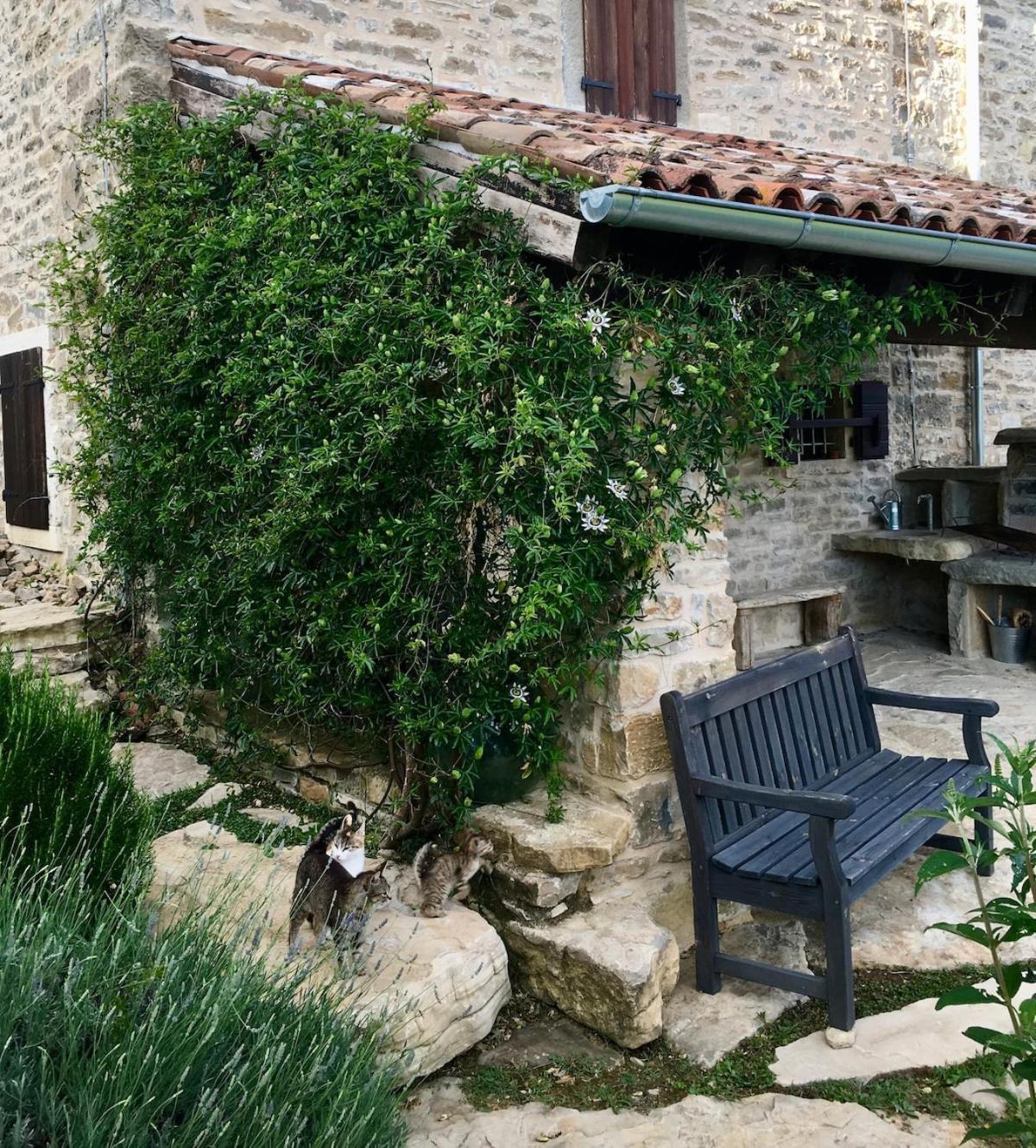 Bolara 60: The Cottage Groznjan Ngoại thất bức ảnh